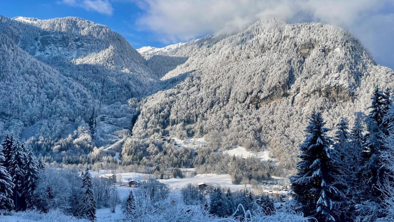 Chalet*** Au Pied D'Une Prairie Face A La Montagne Sixt-Fer-a-Cheval Exterior foto